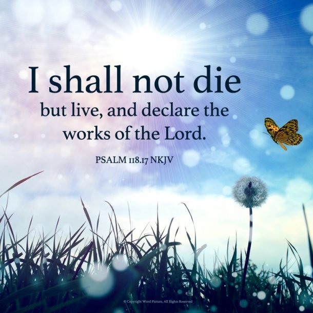 psalm-118-17-at-the-well-ministries